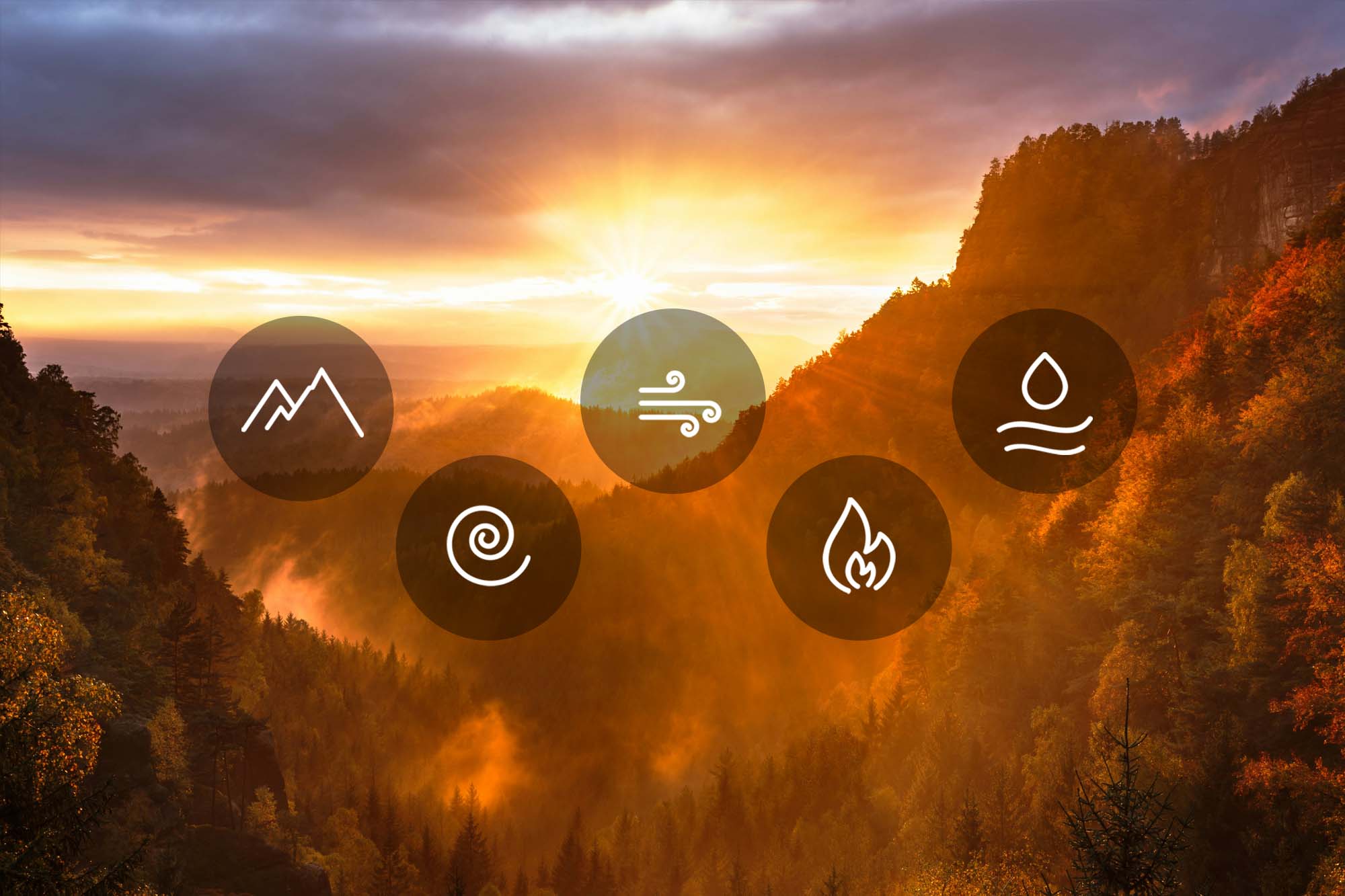 What are the five principles of Ayurveda?