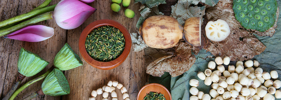 Ayurveda Food Guidelines